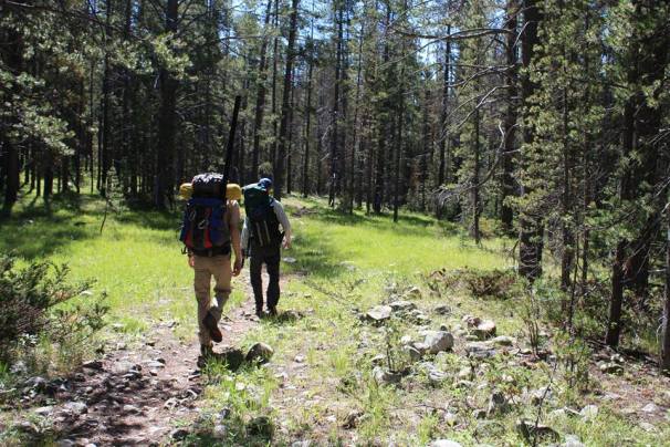 13659076_10101894986129425_388510901712237955_n