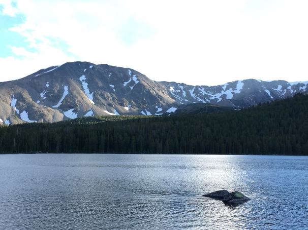 13731744_10207073779102852_2747880539016329483_n